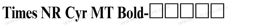 Times NR Cyr MT Bold字体转换